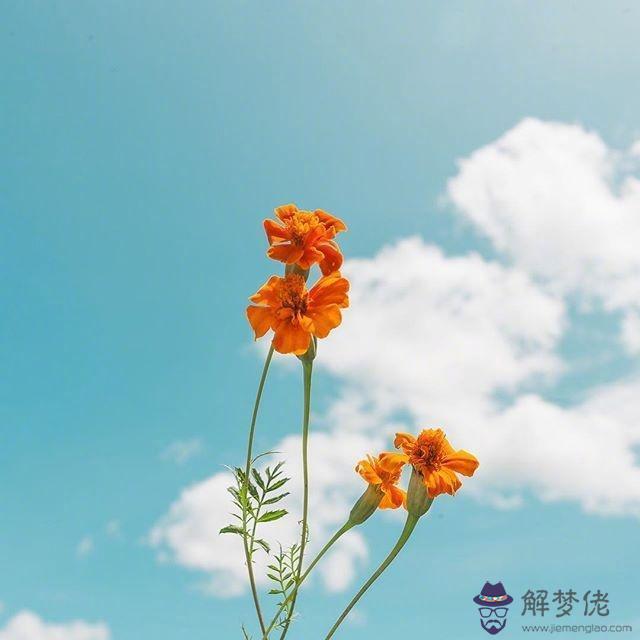 文案短句陽光勵志，八個字激勵短句