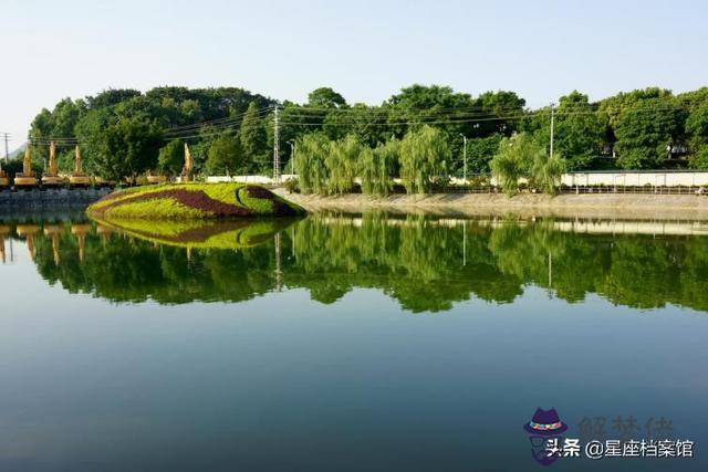 獅子座男跟天蝎女座配嗎，獅子男栽在天蝎女人