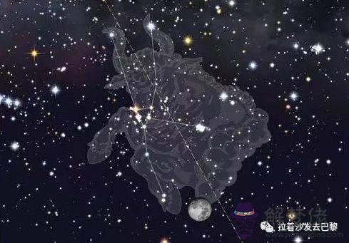 十二星座星星連線圖，十二星座連線圖