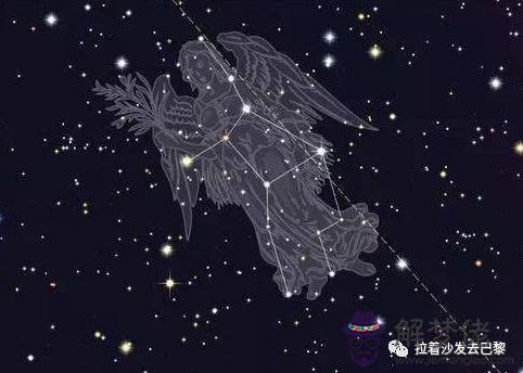 十二星座星星連線圖，十二星座連線圖