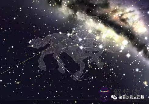 十二星座星星連線圖，十二星座連線圖