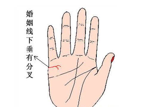 婚姻線怎麼看圖解，掌紋的三條線代表什麼