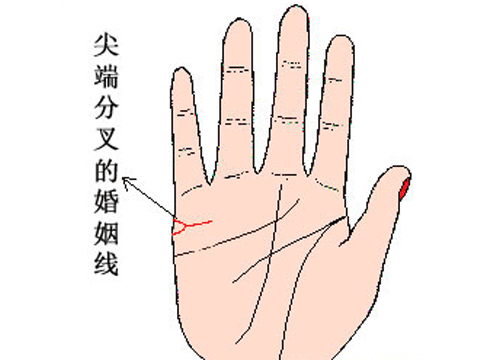 婚姻線怎麼看圖解，掌紋的三條線代表什麼
