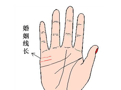 婚姻線怎麼看圖解，掌紋的三條線代表什麼