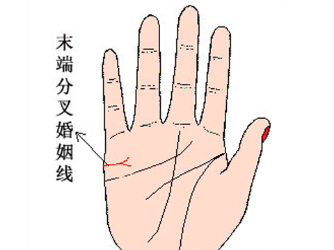婚姻線怎麼看圖解，掌紋的三條線代表什麼