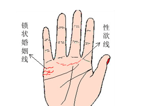 婚姻線怎麼看圖解，掌紋的三條線代表什麼