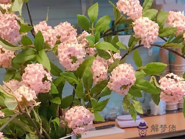 射手座的星座圖案，十二星座連線簡圖