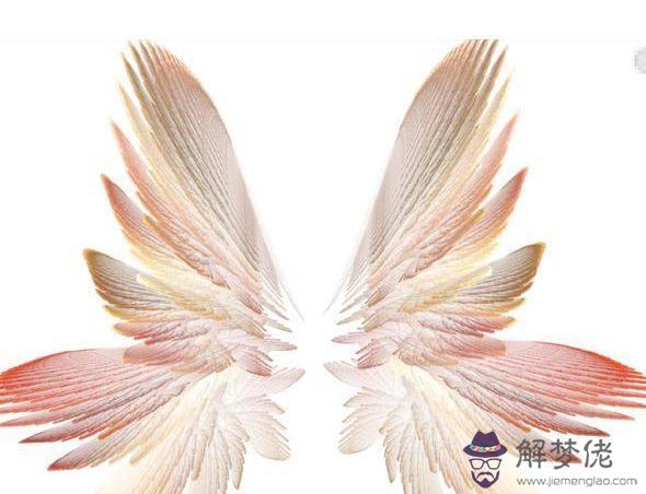 十二星座專屬翅膀，十二星座天使翅膀