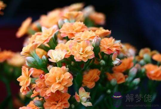 免費測試婚姻姻緣，免費測婚姻是否緣分已盡