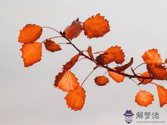 雙魚座女生的缺點，不能看雙魚座的眼睛