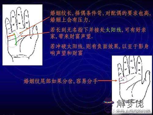 免費拍照看手相算命在線，手相大師在線算命