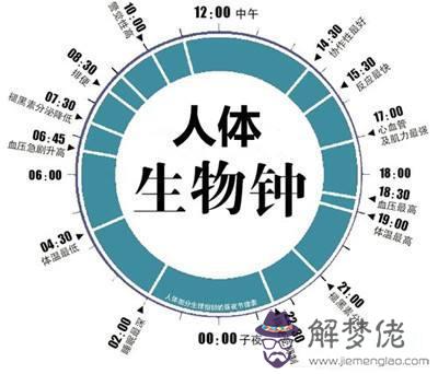 十二時辰與八卦對照圖，十二時辰對應經絡圖