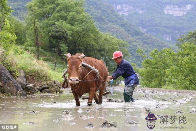 是命中注定的嗎