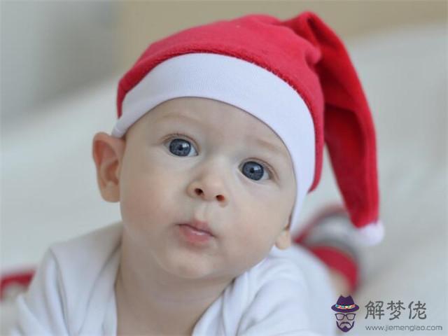 95年屬豬幾月命不好十月的豬