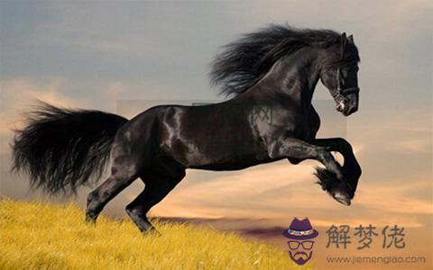 2004年出生的猴是什麼命運