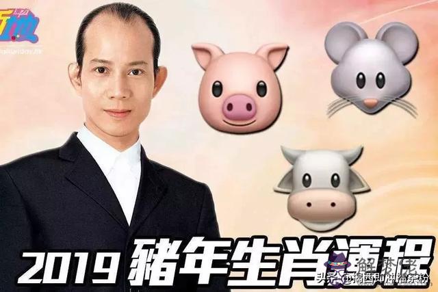 蘇民峰2020生肖運勢運程