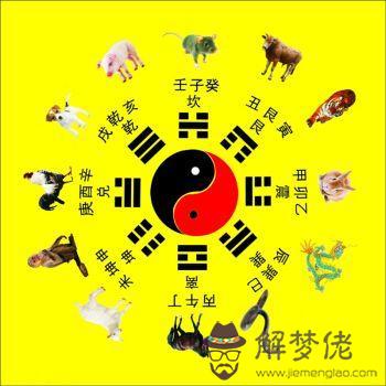 十神在四柱干支詳解表