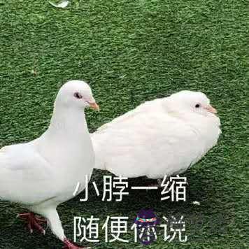 本命年都是多少歲