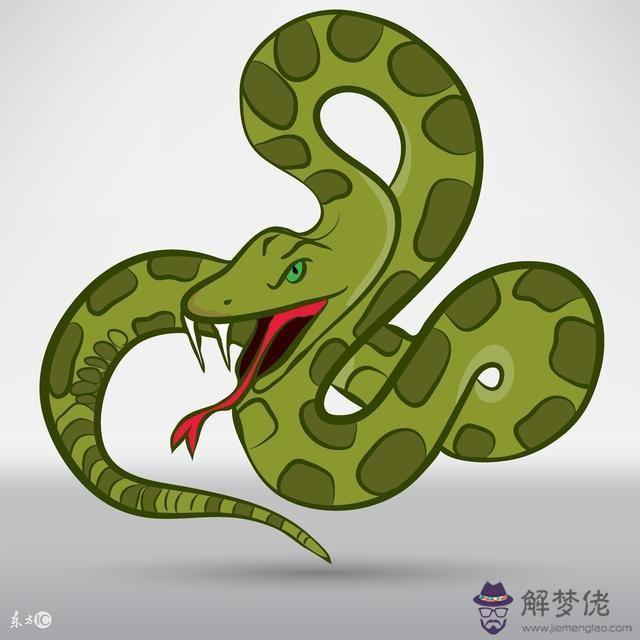 屬蛇和什麼屬相相沖嗎，男屬蛇的和什麼屬相最合適