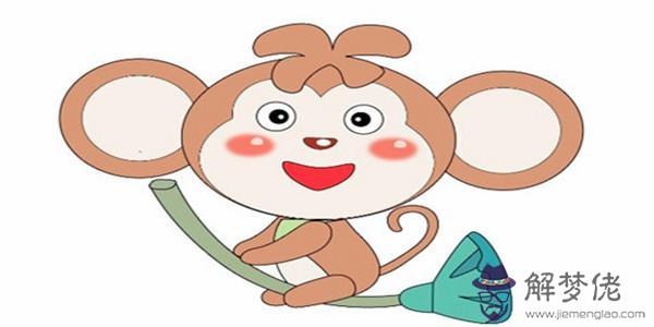 屬蛇的和那些屬相最好