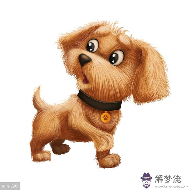 不到山上被龍擒指的屬相
