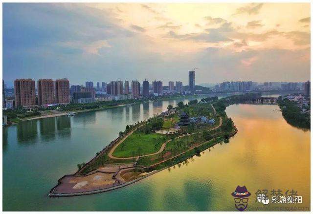 跟老虎沖的屬相是什麼