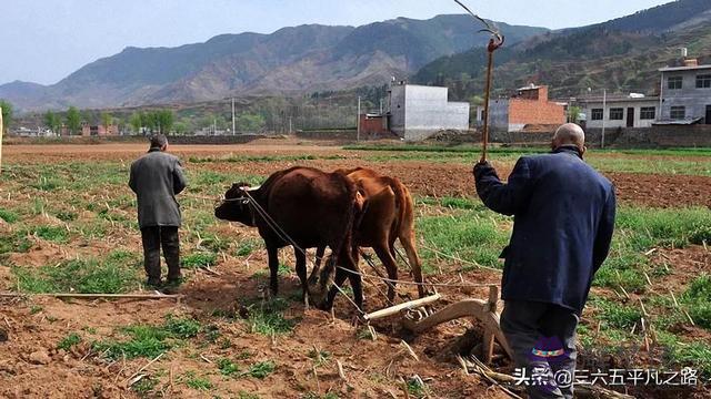 陰歷十三這天是什麼屬相