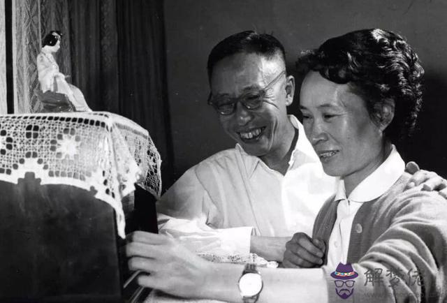 夢見親手打死我的屬相