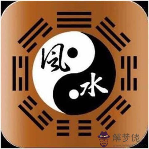 屬蛇的和那些屬相最好
