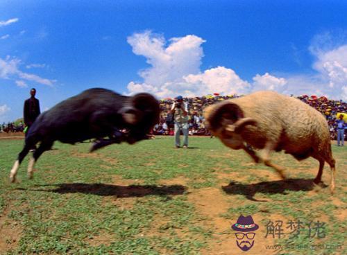 霸業在屬相學是什麼意思