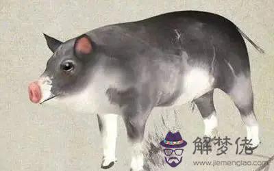 最容易得到貴人相助的屬相