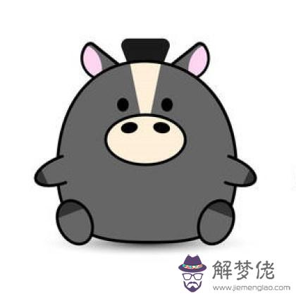 害羞的兔子喜歡什麼屬相