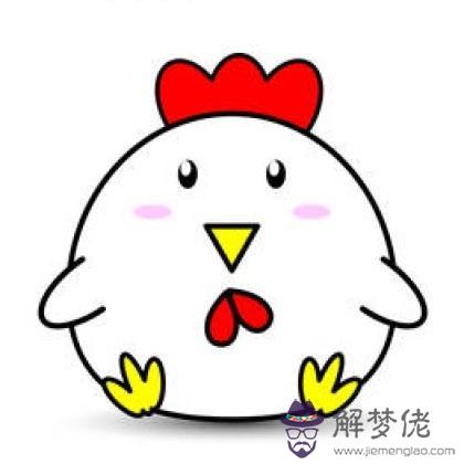 害羞的兔子喜歡什麼屬相