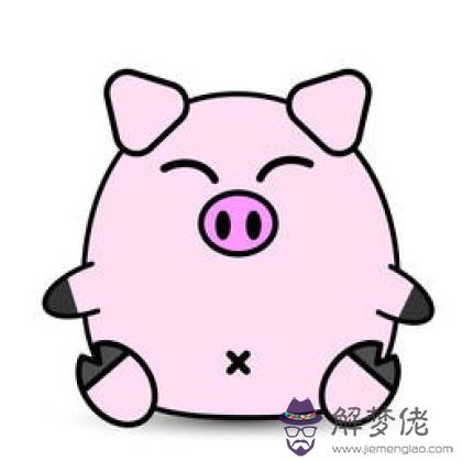 害羞的兔子喜歡什麼屬相