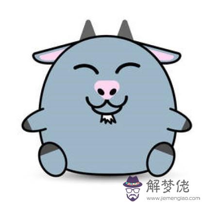 害羞的兔子喜歡什麼屬相
