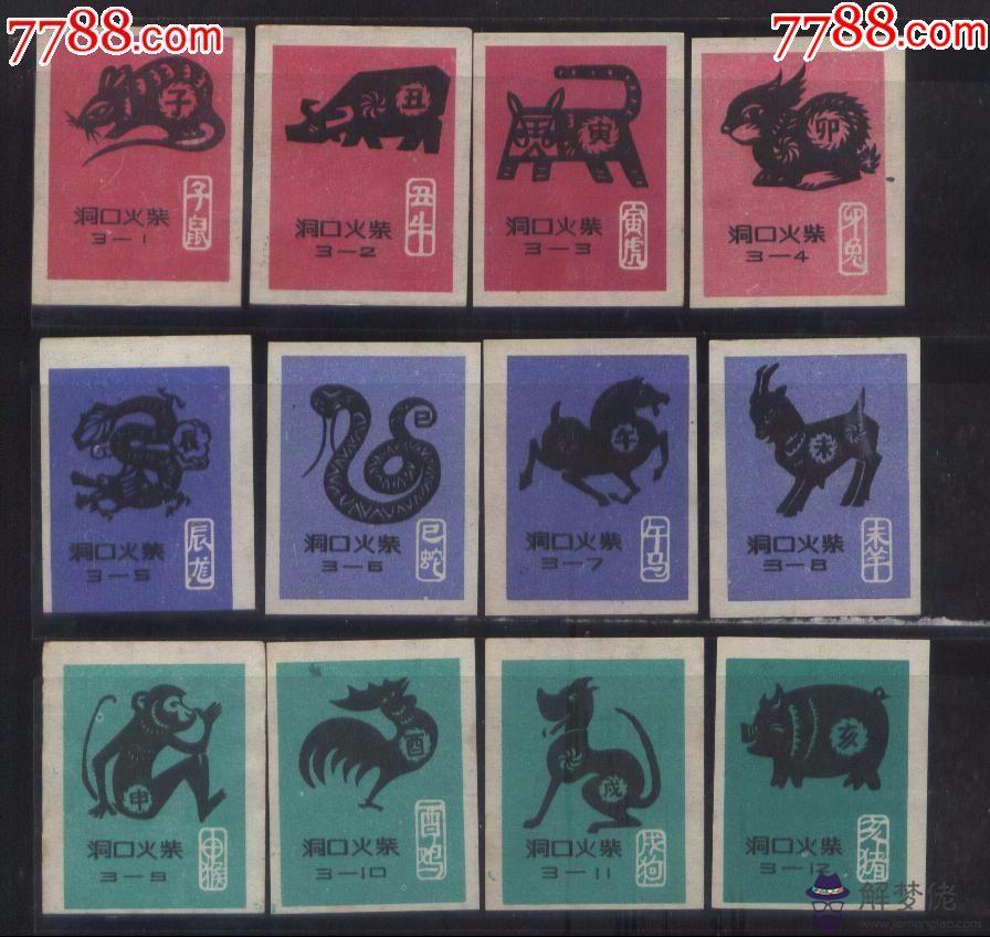 近代哪個屬相當的多，能力最強的生肖