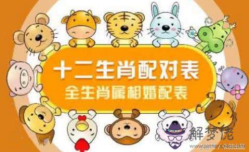 女屬狗的與男什麼屬相相宜