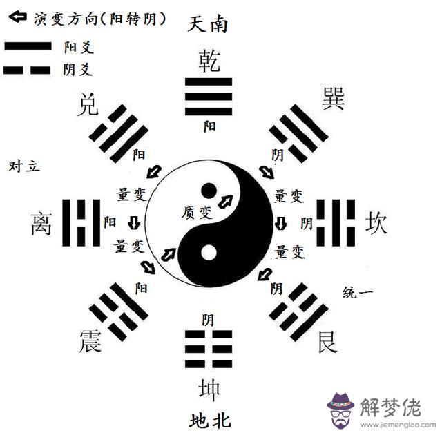 二月初一男孩屬相養魚好嗎，家庭養什麼魚最旺風水