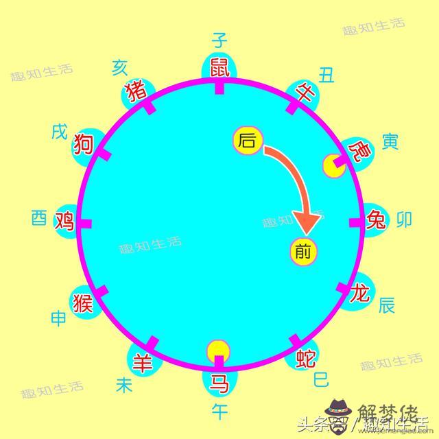 怎樣根據年齡算出屬相