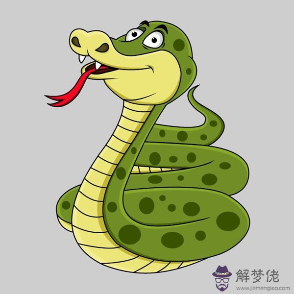 屬蛇和什麼屬相合作好