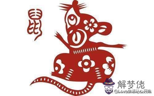 馬和豬的屬相是否相配