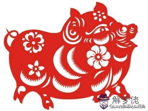 馬和豬的屬相是否相配