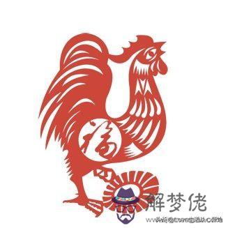 馬和豬的屬相是否相配