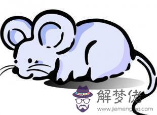 猴喜歡什麼屬相最聰明