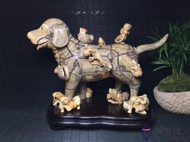 可以戴自己的生肖屬相嗎