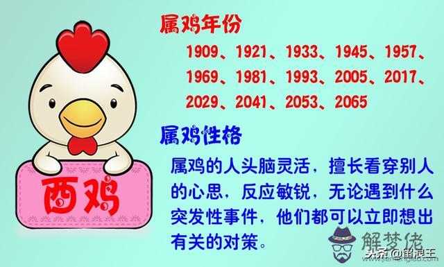 上下級關系雞和狗的屬相合不合
