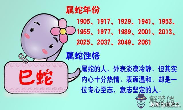 上下級關系雞和狗的屬相合不合