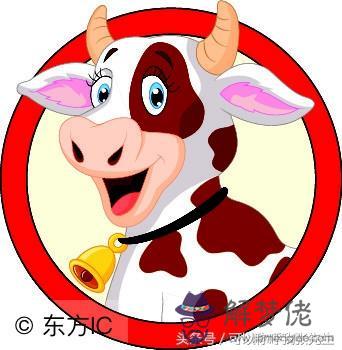 屬牛女和啥屬相相配好