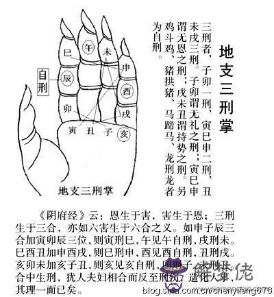 跟193豬相刑的屬相有哪些