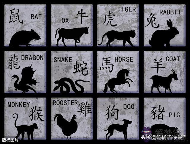 按照屬相找對象是一種嗎